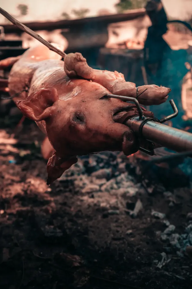Cochon de lait à Cerizay
